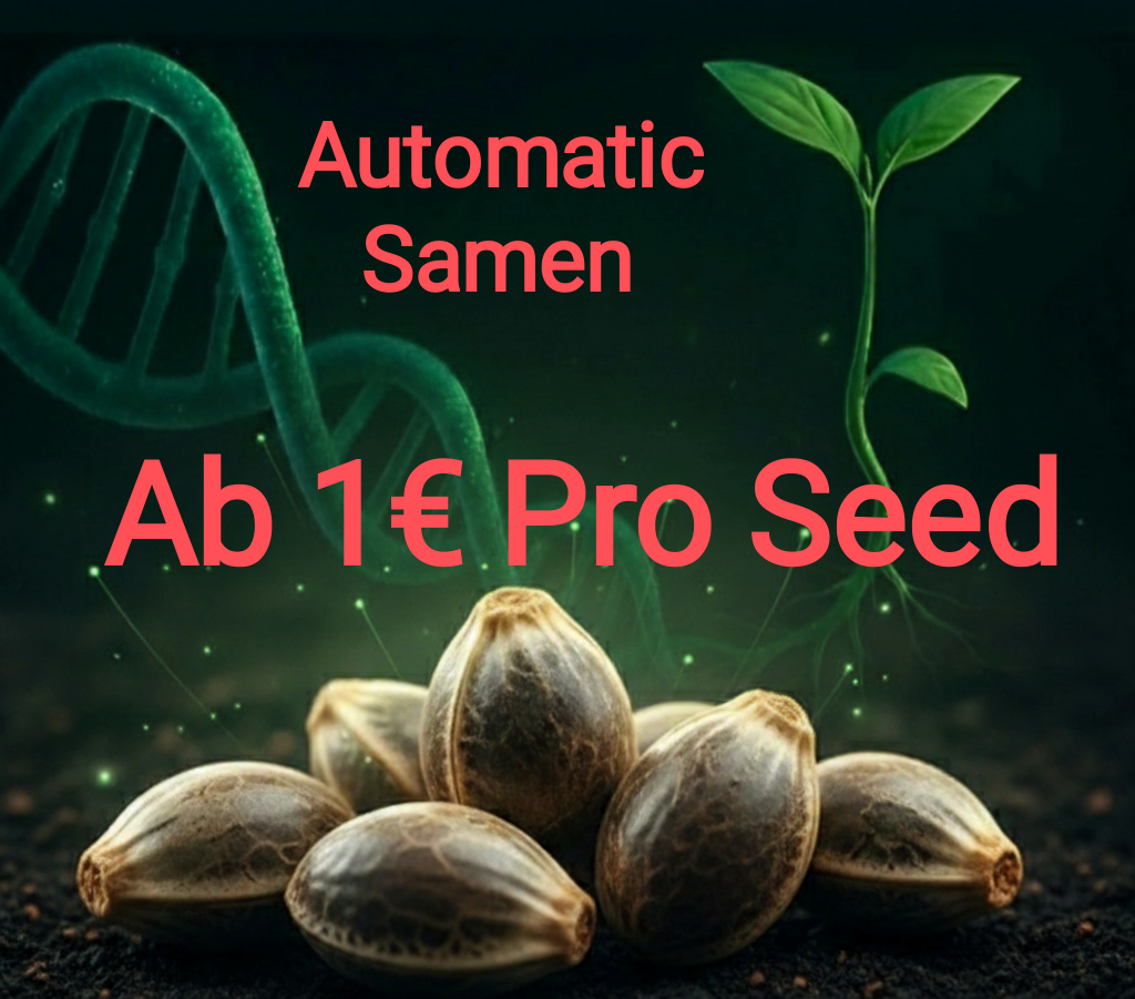 Automatic Samen Top Selektiert Ab 1€
