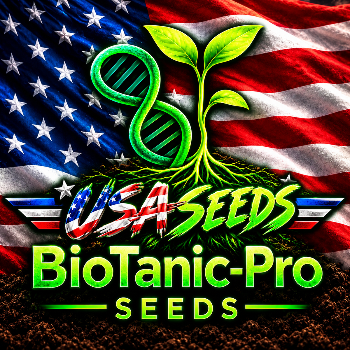 USA Premium Samen