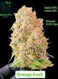 BioTanic-Pro Orange Kush Feminisiert 40% Sativa 60% Indica sehr süßes Aroma. Blütezeit 65 Tage