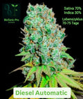 BioTanic-Pro Diesel Automatic Lebenszyklus nach der Keimung 65-70 Tage 70% Sativa 30% Indica