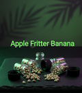 Apple Fritter Banana Feminisiert  Sativa 40% Indica 60%  Blütezeit 56-63 Tage