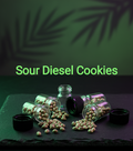 Sour Diesel Cookies Feminisiert  Sativa 60% Indica 30% Blütezeit 63 Tage