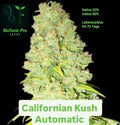 BioTanic-Pro Californian Kush Automática Sativa 20% Índica 80% Ciclo de vida Solo 65-70 días XXL