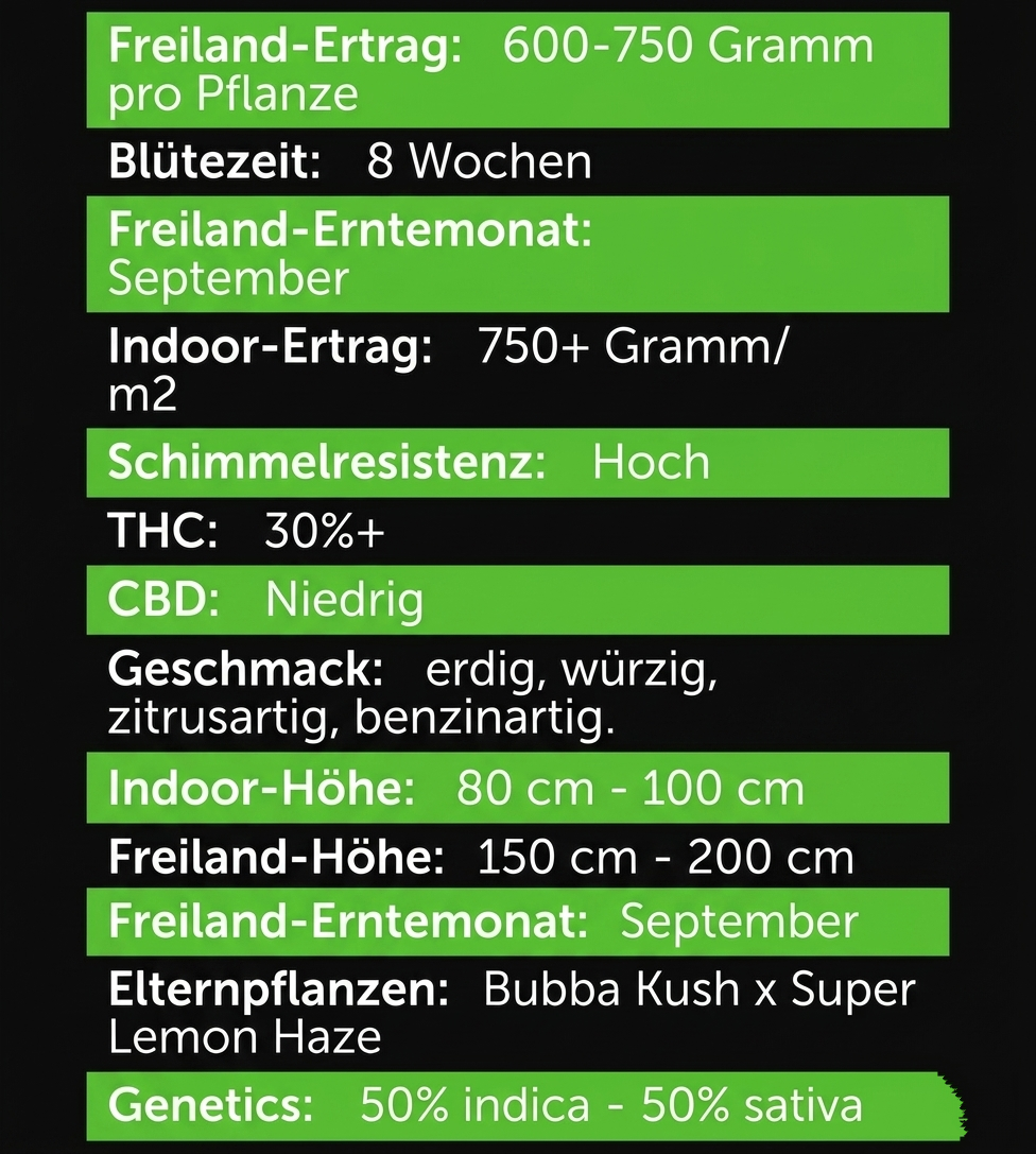STICKY WASABI TRIPLOID F1 – Die Harzmaschine Sativa 50% Indica 50% Blütezeit 50-55 Tage Versand startet ab Dienstag