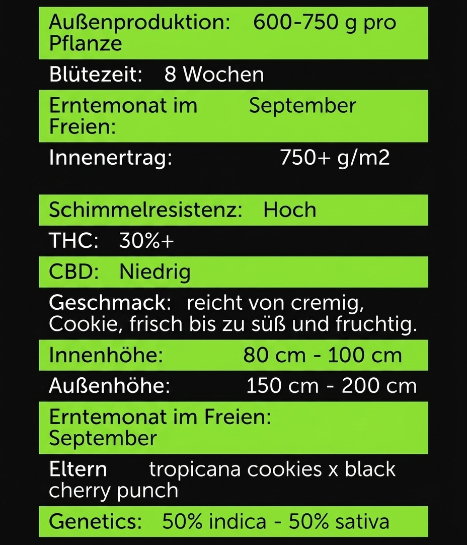 TROPICANA CHERRY F1 TRIPLOID – Das fruchtige THC-Kraftpaket Sativa 50% Indica 50% Blütezeit 55.58 Tage Versand startet ab Dienstag