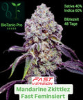 Mandarine Zkittlez Fast Feminsiert Sativa 40% Indica 60% Blütezeit 49 Tage