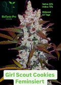 Girl Scout Cookies Feminisiert Sativa 30% Indica 70% Blütezeit 63 Tage