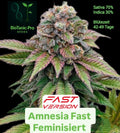 BioTanic-Pro Amnesia Fast Feminized Sativa 70% Indica 30% Flowering Time Only 42-49 Days