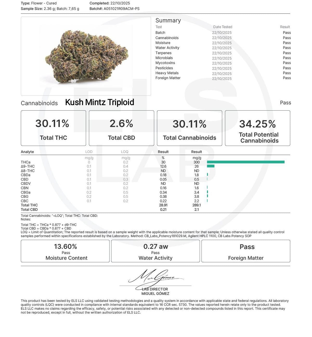 KUSH MINTZ TRIPLOID CALI BREED LINE USA Sativa 30% Indica 70% Blütezeit 56-63 Tage