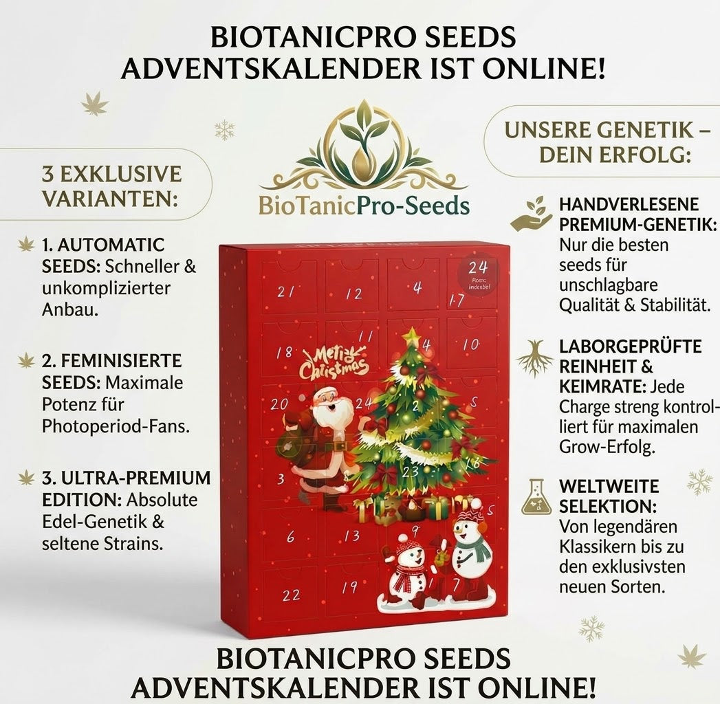 Exklusiver BioTanicPro-Seeds Adventskalender – 24 Tage, 27 Überraschungssamen! Variante 2: Feminisierte Seeds