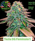 Tezla OG Feminisiert Sativa 30% Indica 7ß% Blütezeit 60 Tage Super Strong